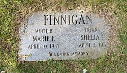 Mt. Olivet Cemetery St Michael Drive, section D